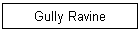 Gully Ravine