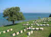 beachcem2006.JPG (126388 bytes)
