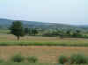 suvla02.JPG (90411 bytes)