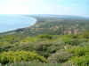 suvla2006.JPG (173079 bytes)