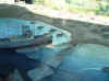 vbeach02.JPG (119196 bytes)